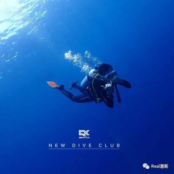 扬科维奇赛后：机会创造出来但不进球我无话可说